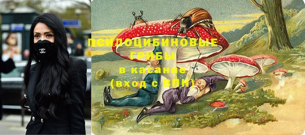 крисы Вяземский
