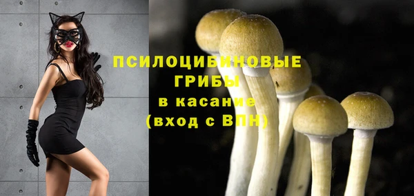 таблы Вязьма