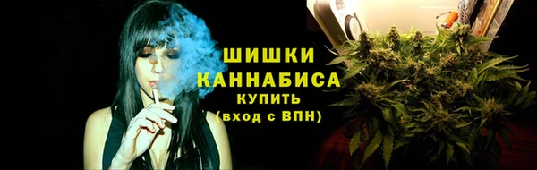 СК Волоколамск