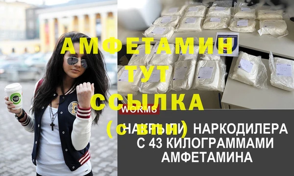 СК Волоколамск