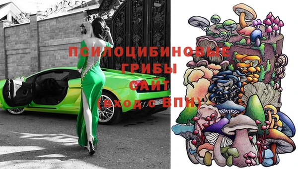Альфа ПВП Вязники