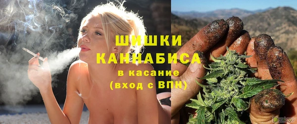 крисы Вяземский