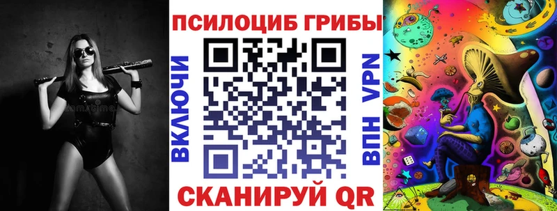 Псилоцибиновые грибы ЛСД  сколько стоит  маркетплейс как зайти  Карачаевск 